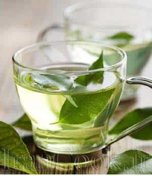 12 نوع چای گیاهی