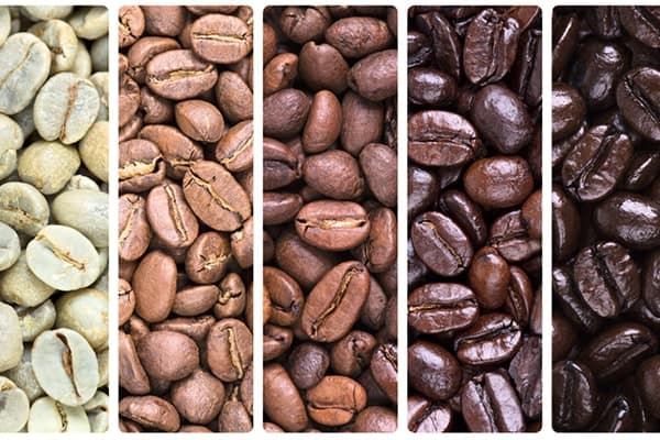 انواع قهوه از سبز تا تیره